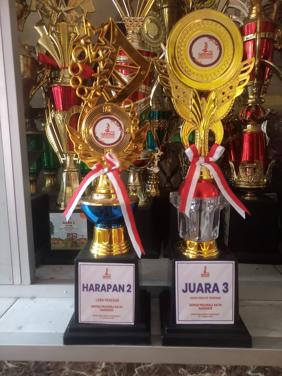 Juara Pramuka